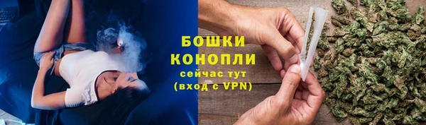 сатива Арсеньев