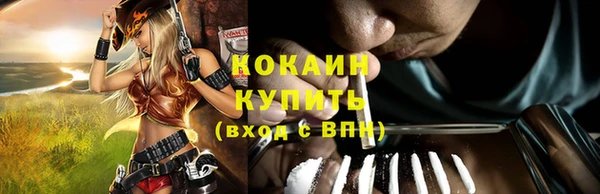 сатива Арсеньев