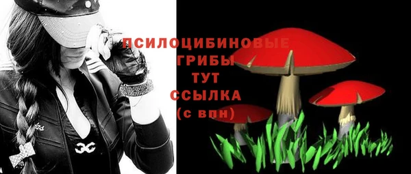 сатива Арсеньев