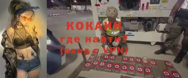 тгк Дмитров