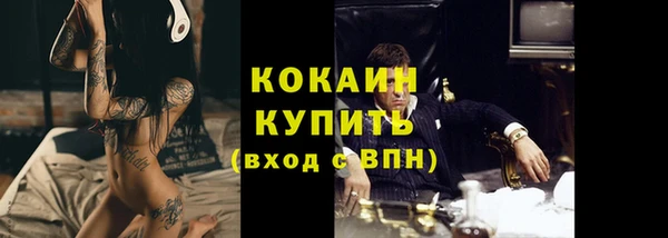 сатива Арсеньев