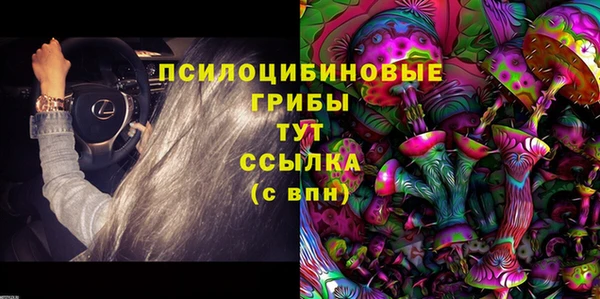сатива Арсеньев