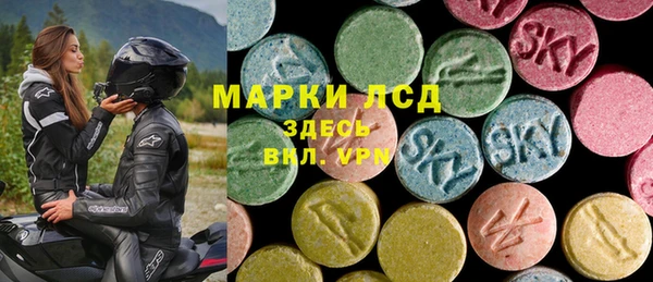 сатива Арсеньев