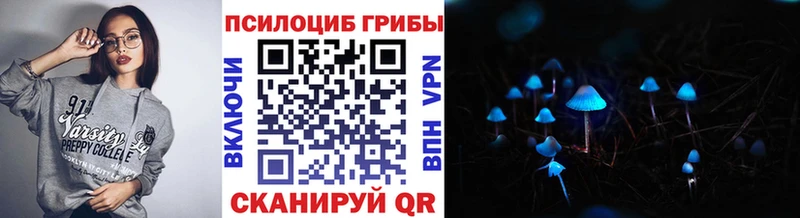 наркошоп  Воркута  ссылка на мегу tor  Псилоцибиновые грибы Psilocybe 