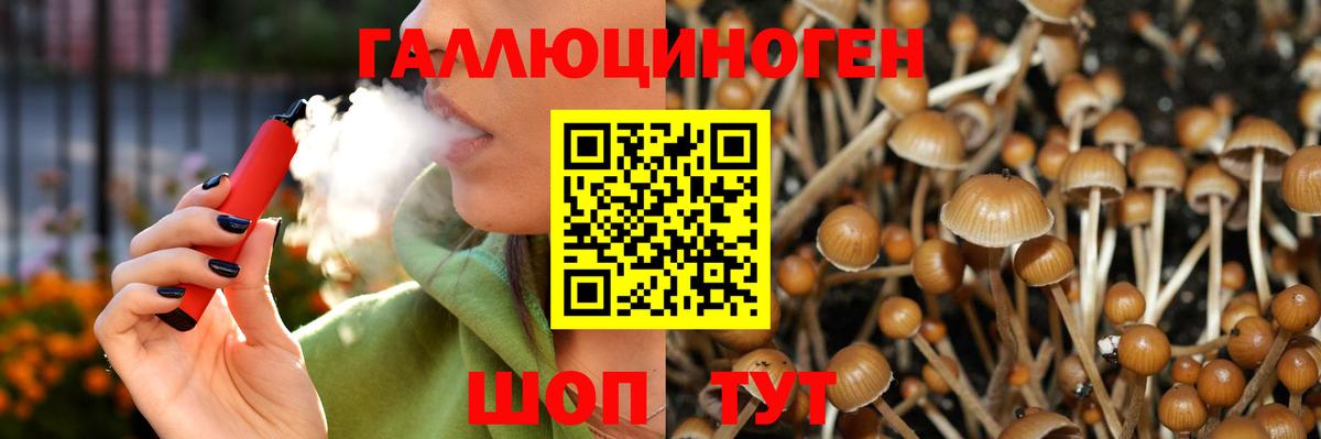 Псилоцибиновые грибы MAGIC MUSHROOMS  продажа наркотиков  Воркута  Вход с VPN  Псилоцибиновые грибы Magic Shrooms 
